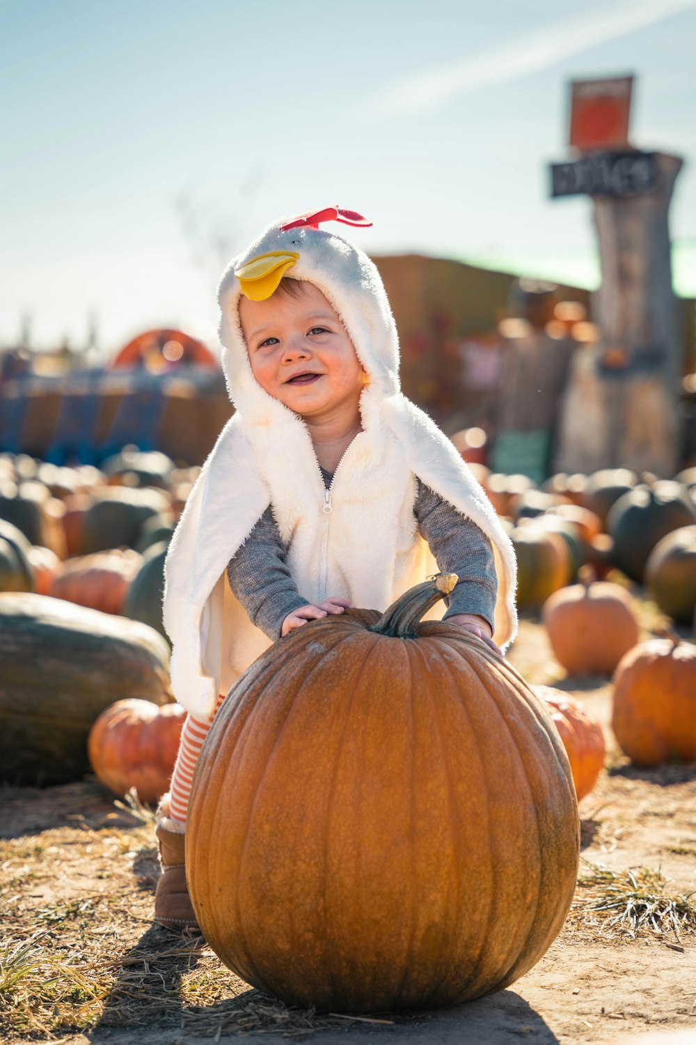 girl in white coat standing on pumpkin during daytime