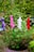 Colorful artificial flowers in purple, pink, white, and red are arranged in a lush green potted plant against a blurred background of outdoor plants.