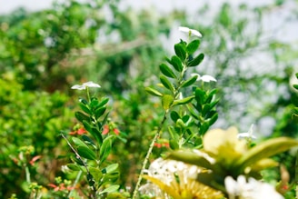 A vibrant digital garden interface glowing on a tablet surrounded by lush green plants.
