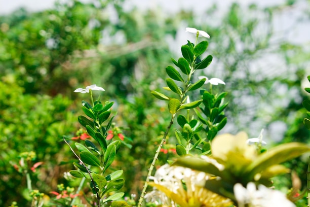 A vibrant digital garden interface glowing on a tablet surrounded by lush green plants.