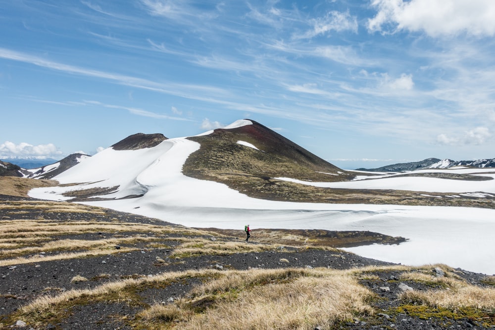 person standing on brown grass field near snow covered mountain during daytime