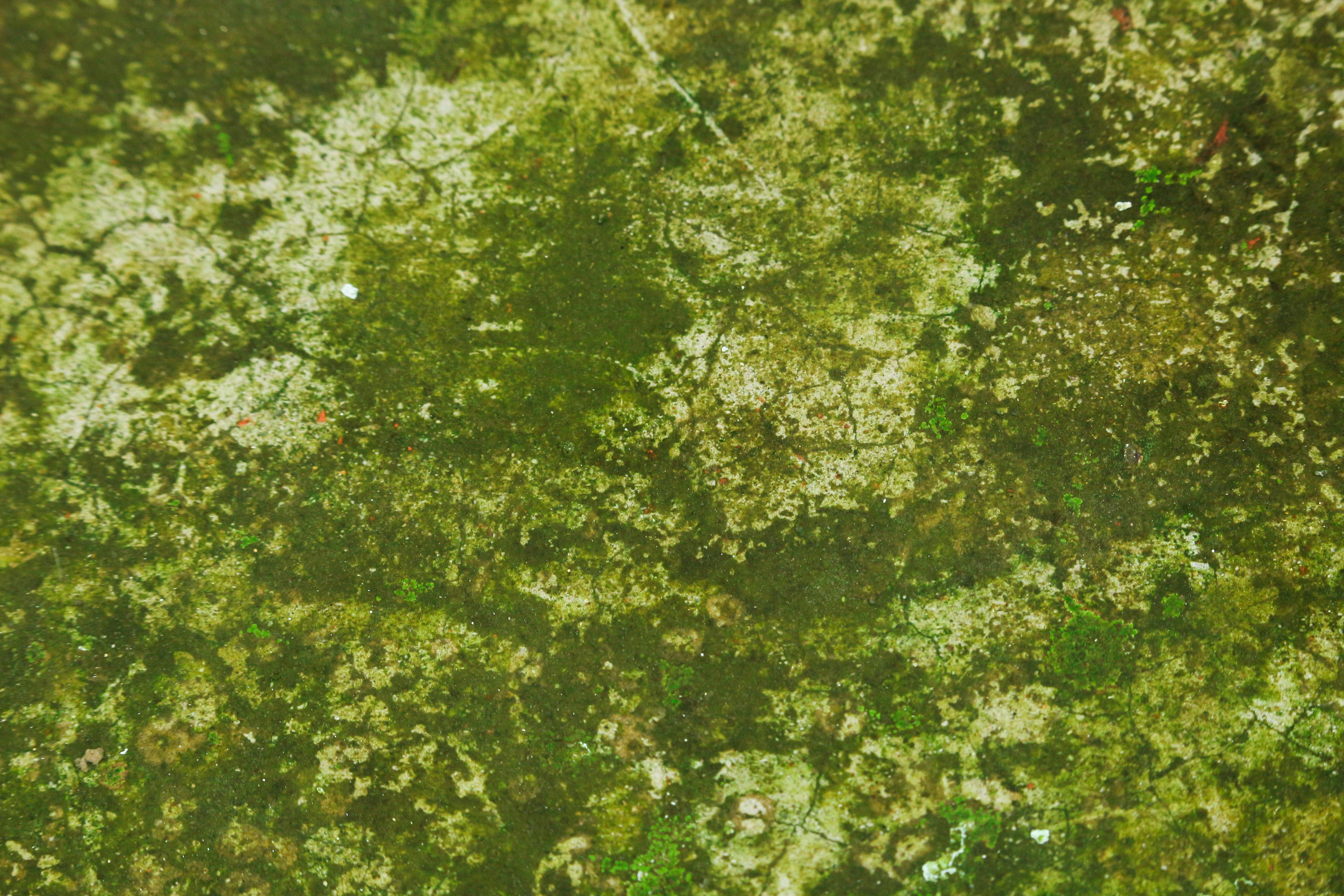 Photo by tamanna_rumee