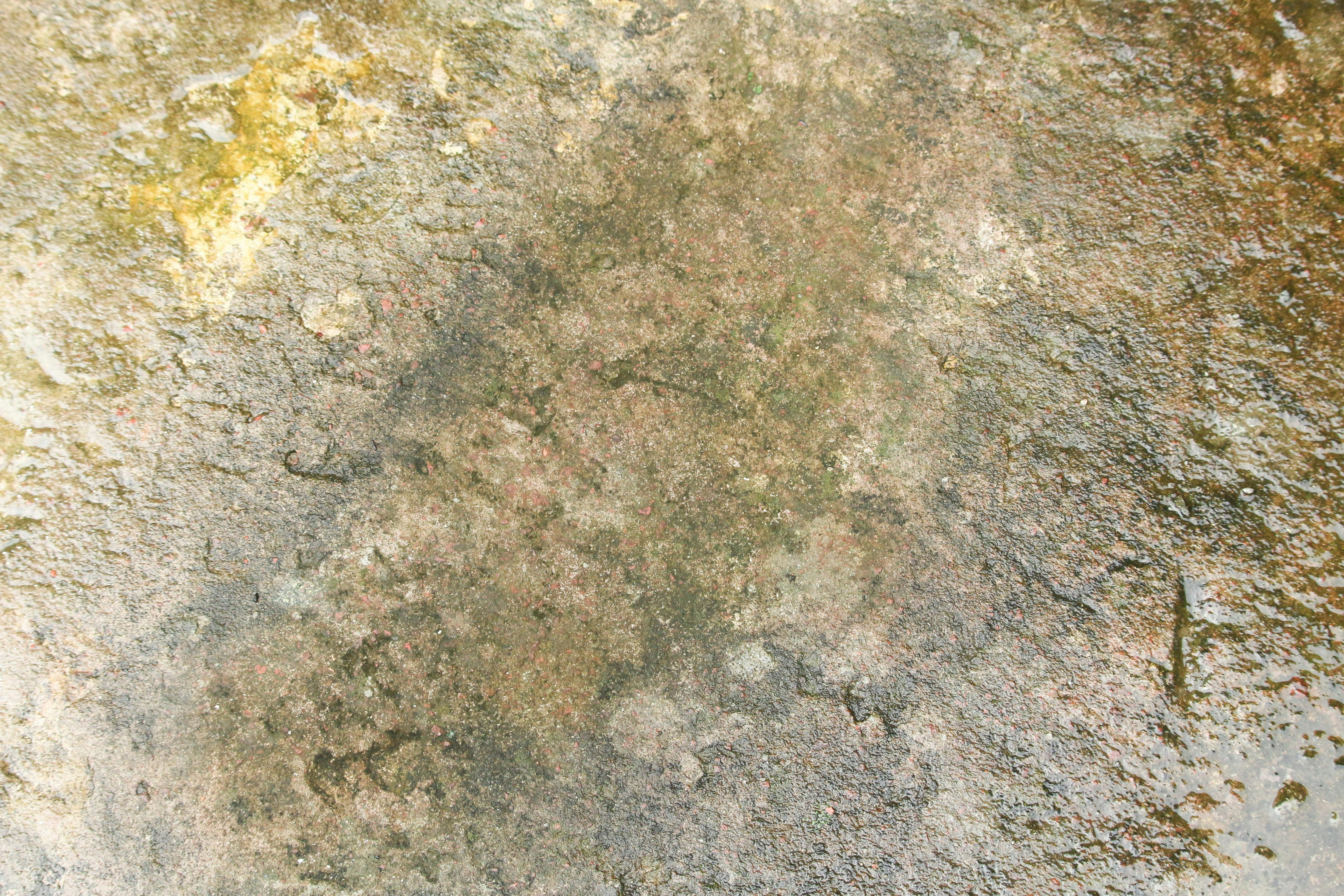 Unmarshal header image