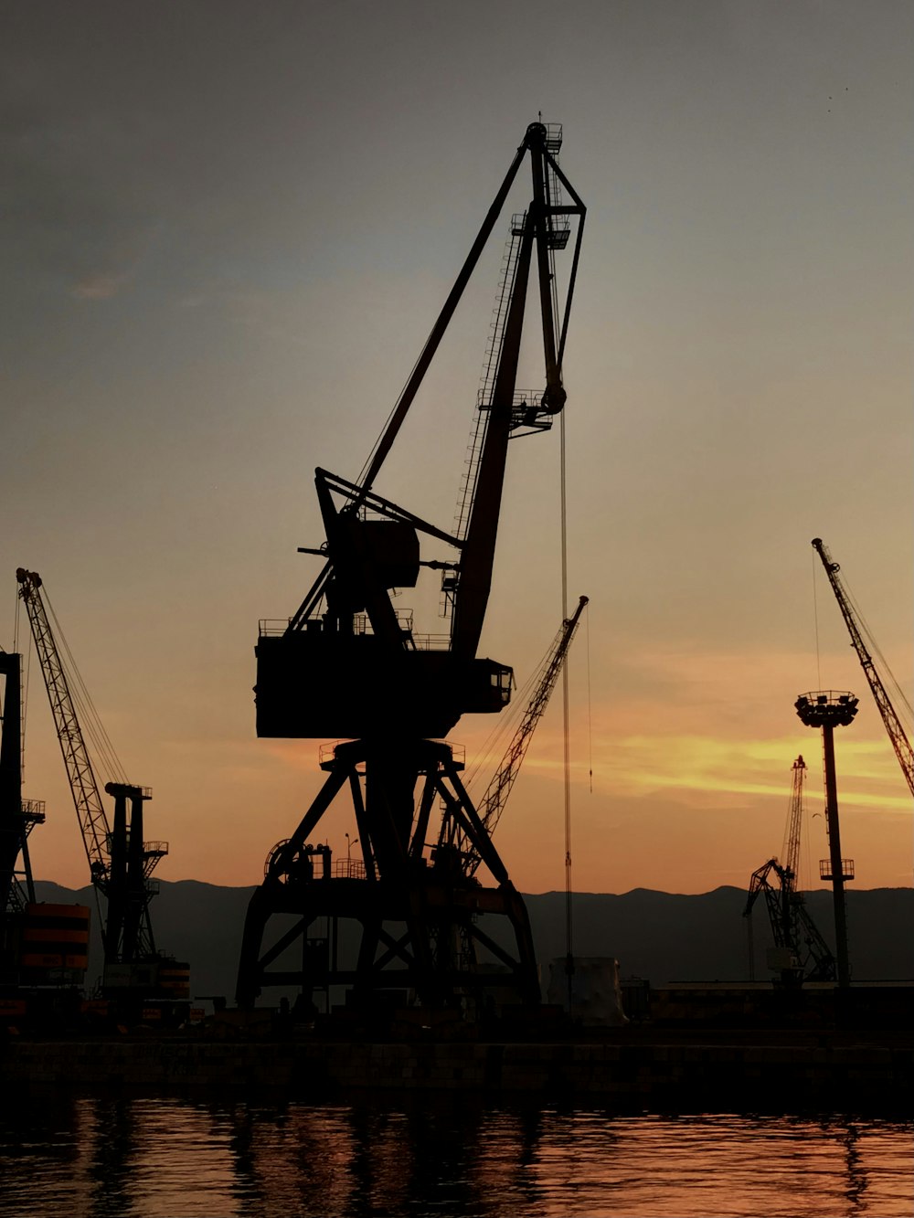 silhouette of crane during sunset