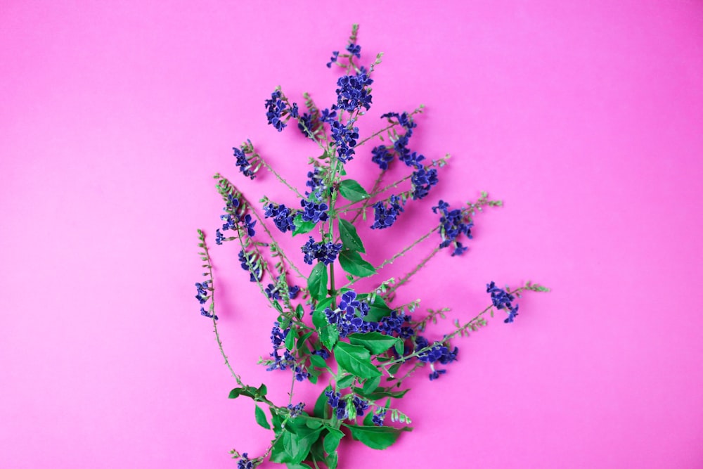 purple and green flower bouquet