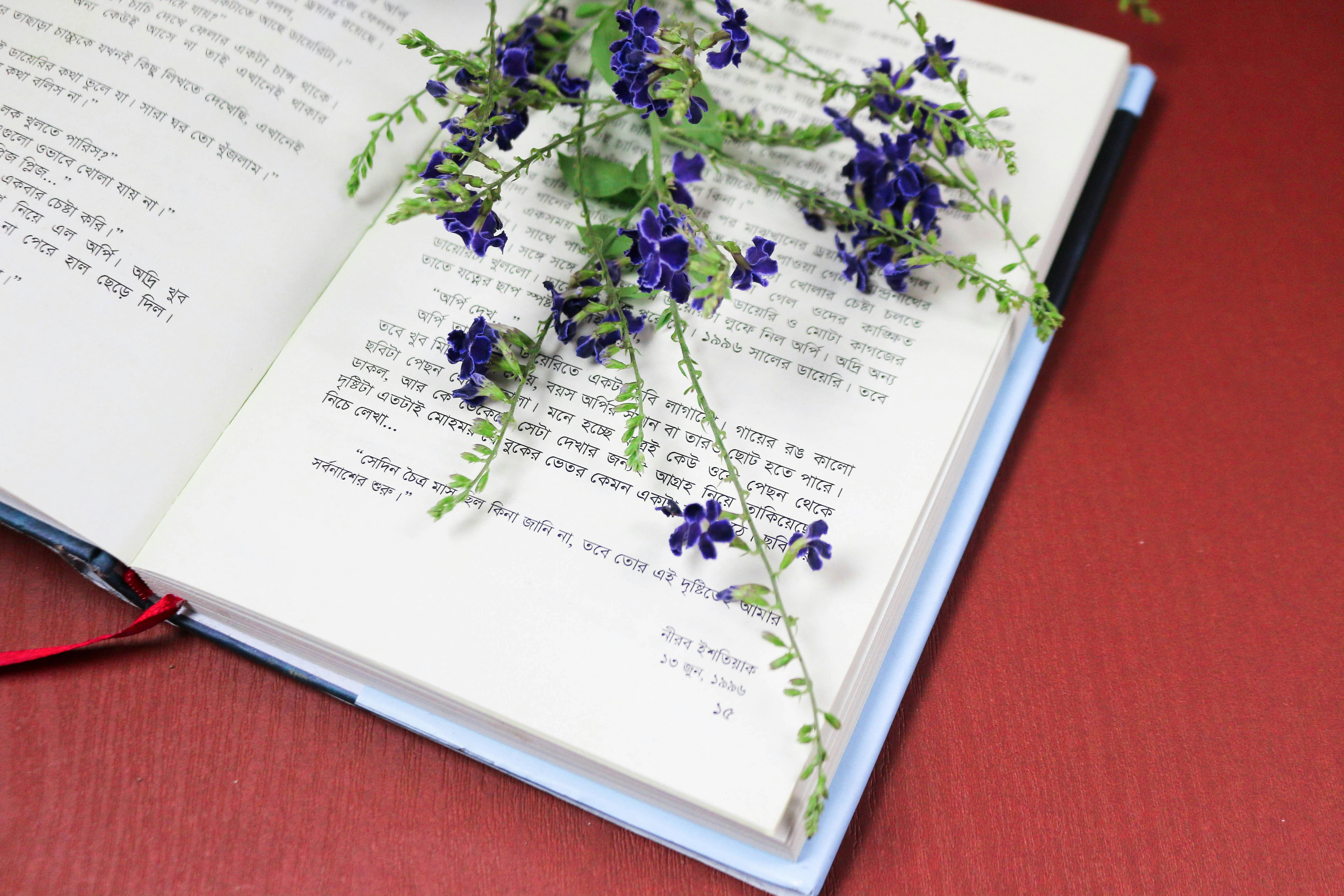 Bengali Grammar Guide