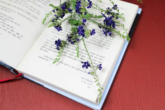 An open book with text in a South Asian script, possibly Bengali, lies on a flat surface. A sprig of delicate purple flowers rests across the pages, adding a decorative and contemplative element. The background is a solid, warm red, enhancing the contrast with the book and flowers.