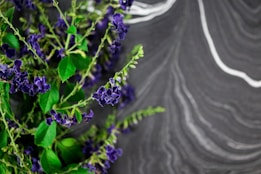 Vibrant purple flowers with green leaves are set against a textured gray background with white swirling patterns. The flowers appear delicate with multiple small petals, and the leaves are glossy and vividly green.