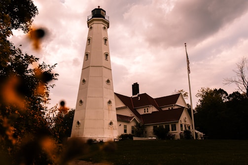 Exterior shot of the crooked lighthouse house nestled among tall trees under a bright blue sky.
