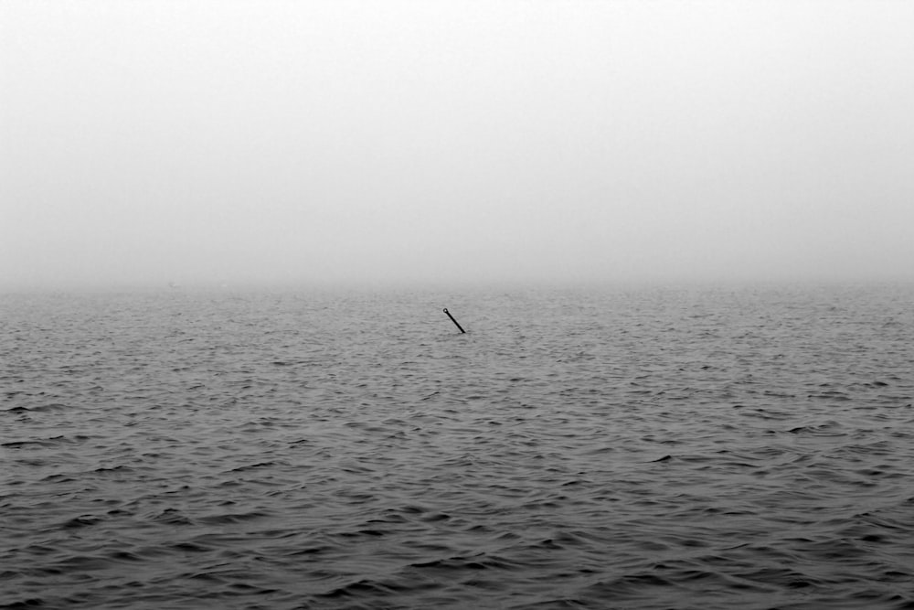 grayscale photo of a person fishing on the sea