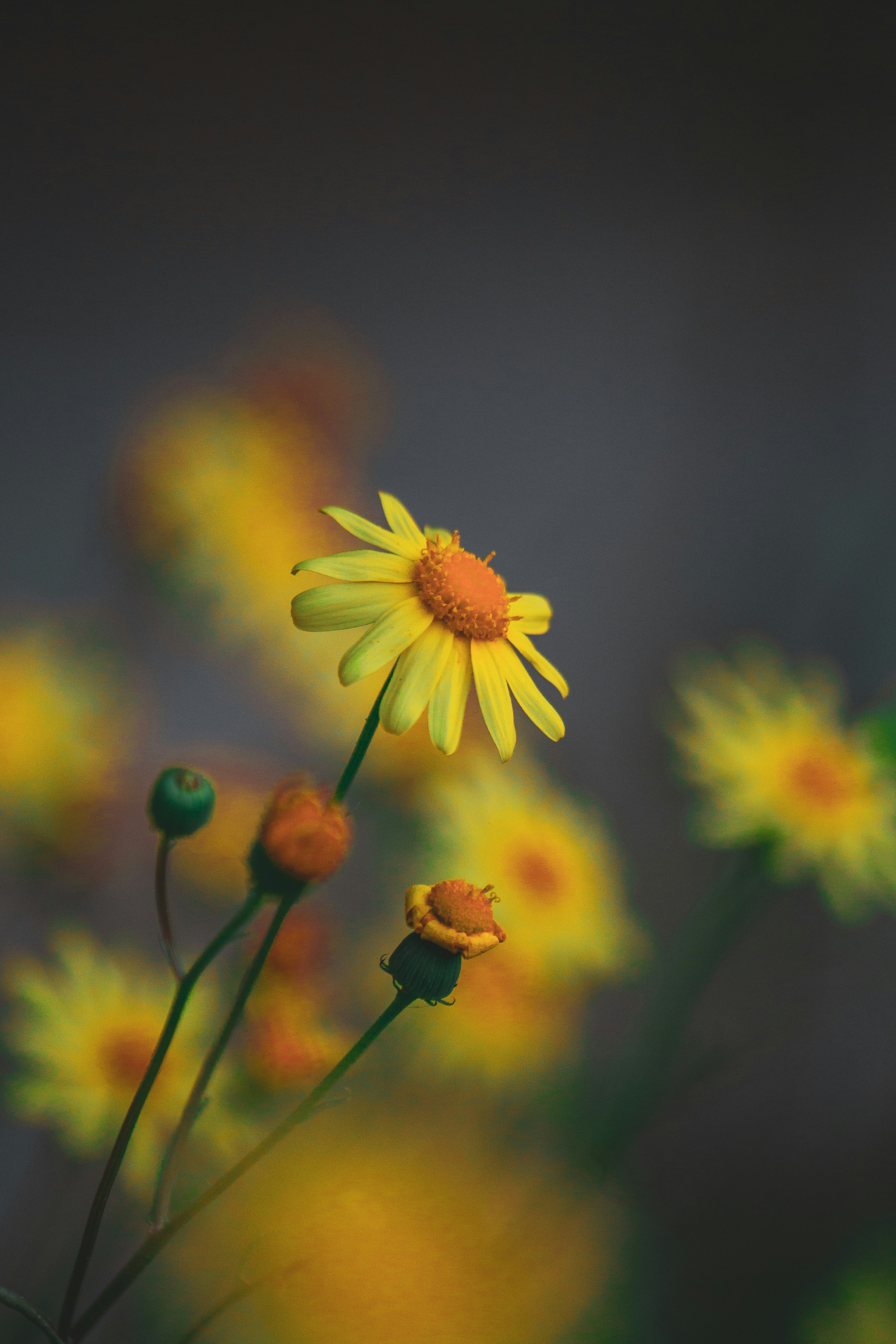 Photo by mayertawfik