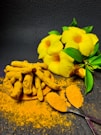 yellow flower on gray surface