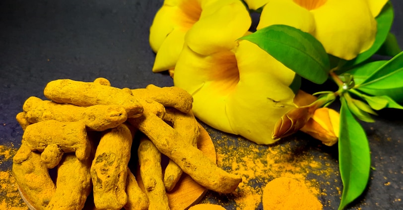 yellow flower on gray surface