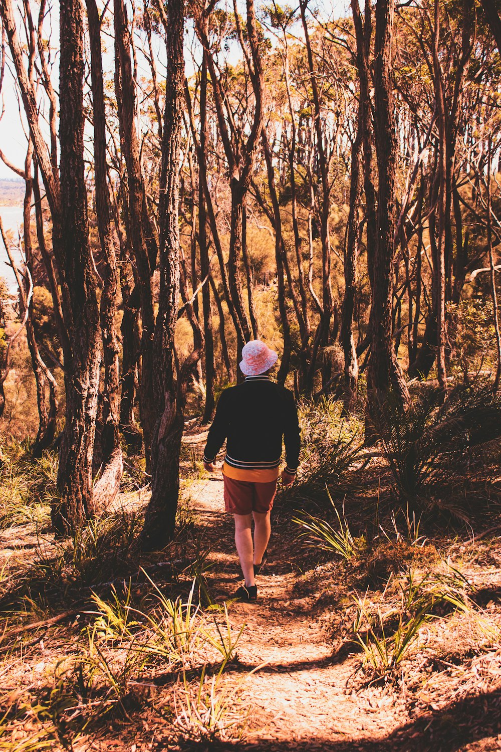 woman in black shirt and pink shorts standing in front of brown trees during daytime