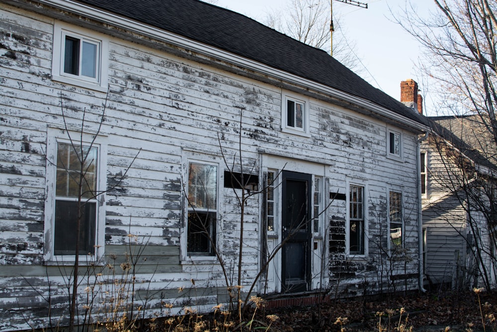 white wooden house near bare trees during daytime