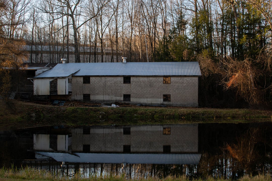Exploring the Back Roads A Quirky Guide to Craigslist's Hidden Gems… — Exploring the Back Roads A…, photo 2