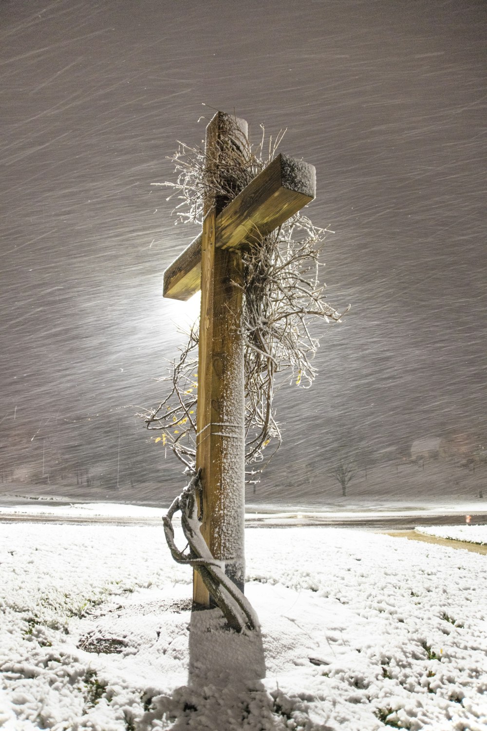 雪に覆われた地面に茶色の木製の支柱