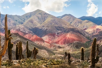green grass field near brown mountain during daytime