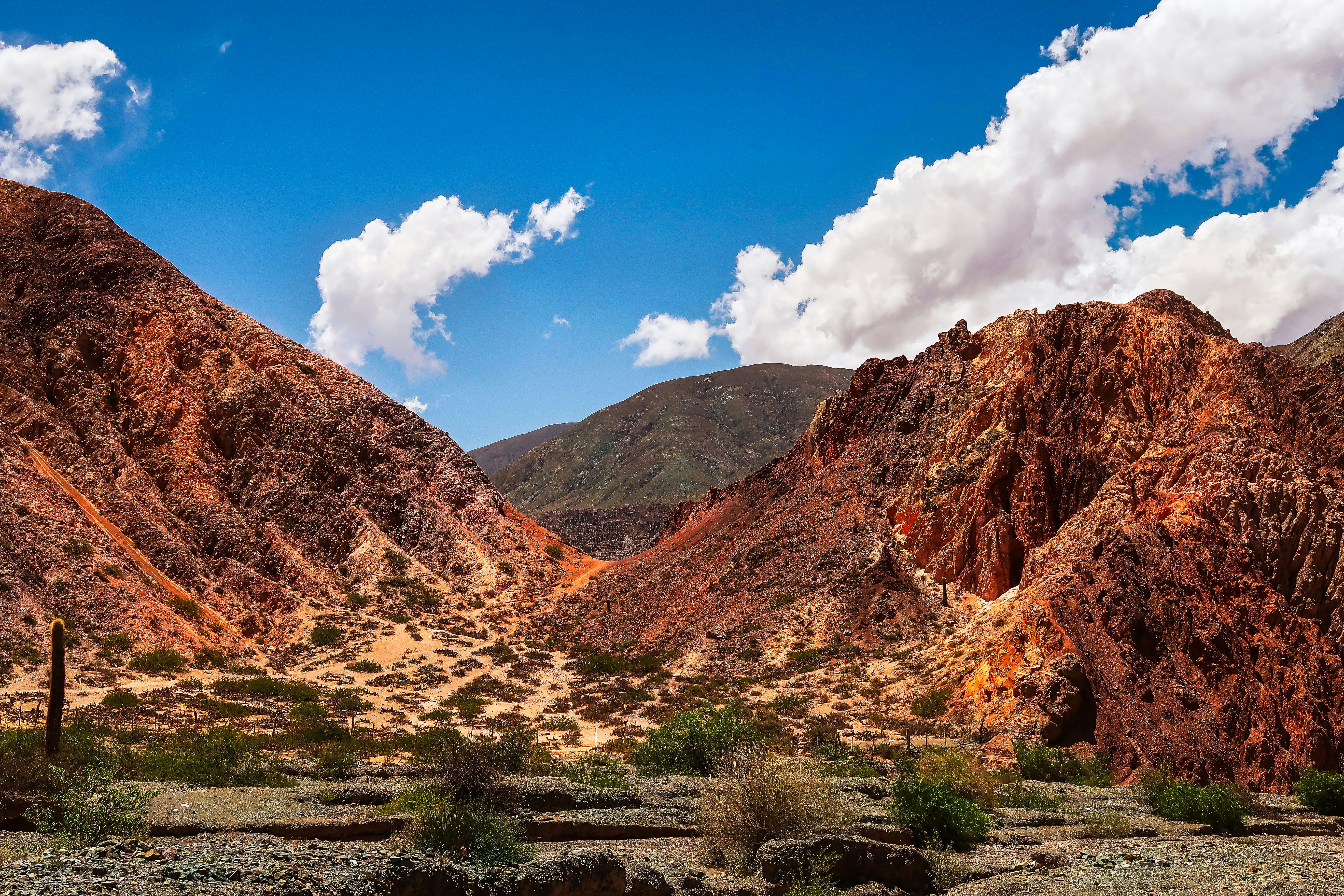 Photo by argentinanatural