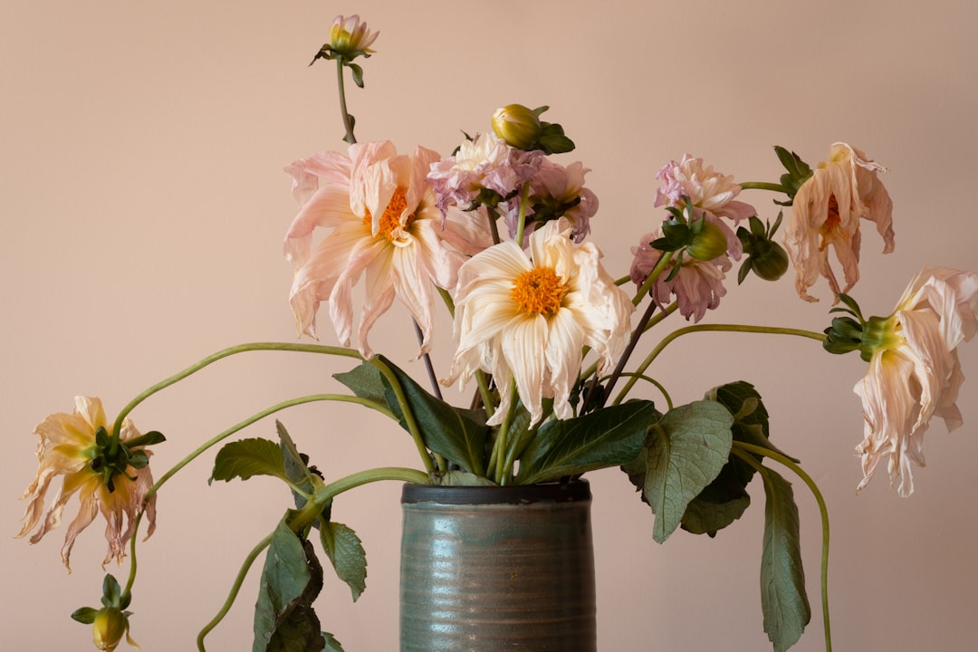 pink and white flowers in blue ceramic vase