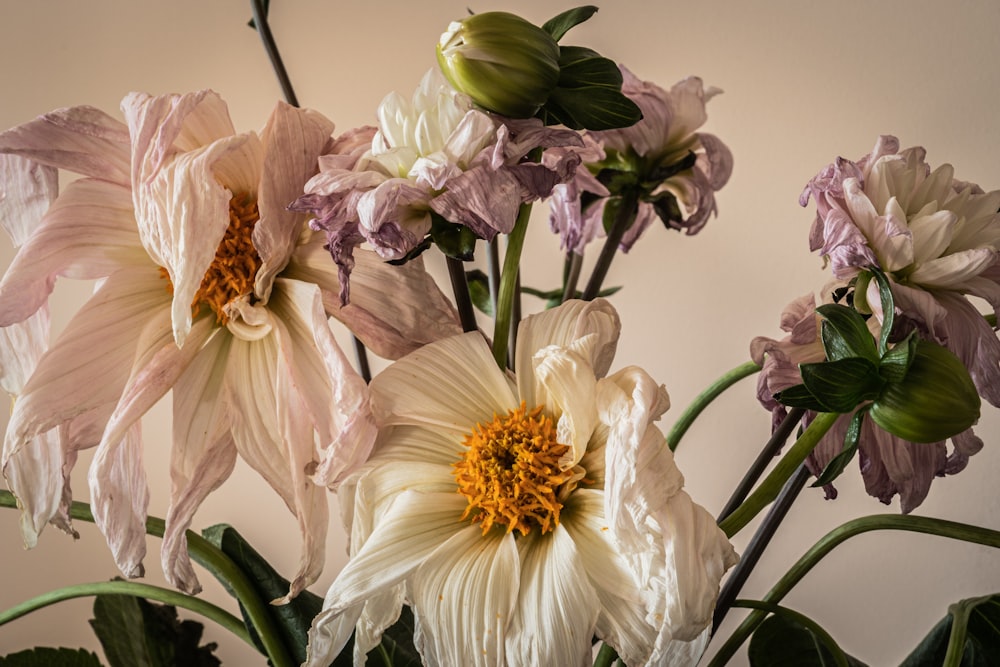 fiori bianchi e viola sul tavolo bianco