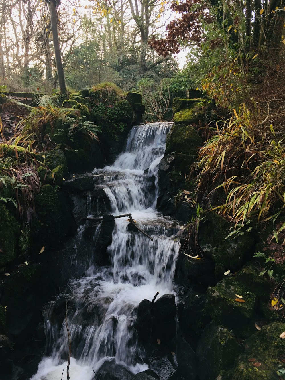 water falls in the forest