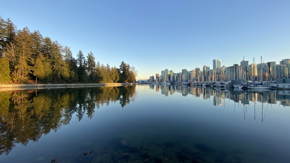 specchio d'acqua vicino ad alberi ed edifici durante il giorno