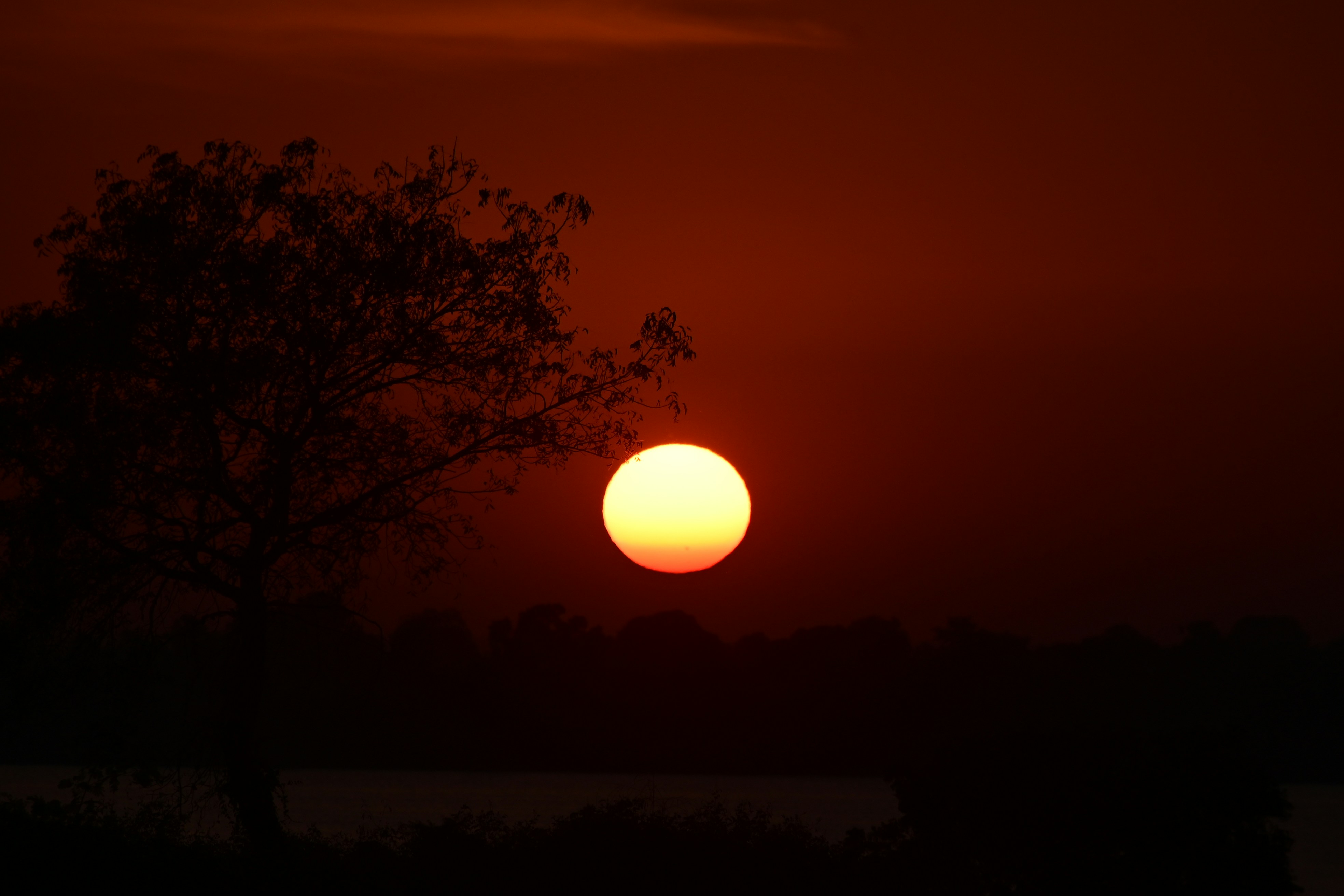 Photo by rrajputphotography