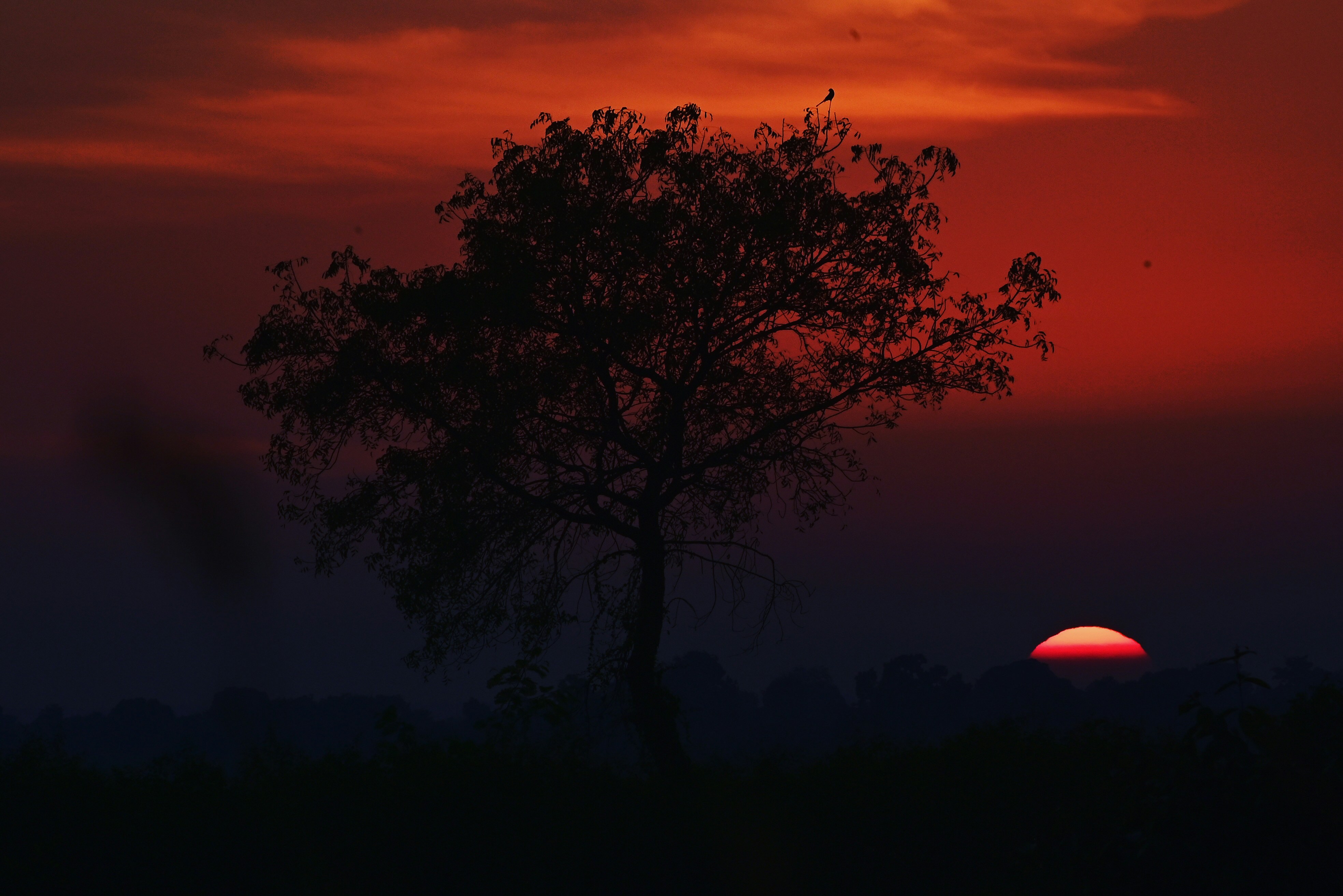 Photo by rrajputphotography