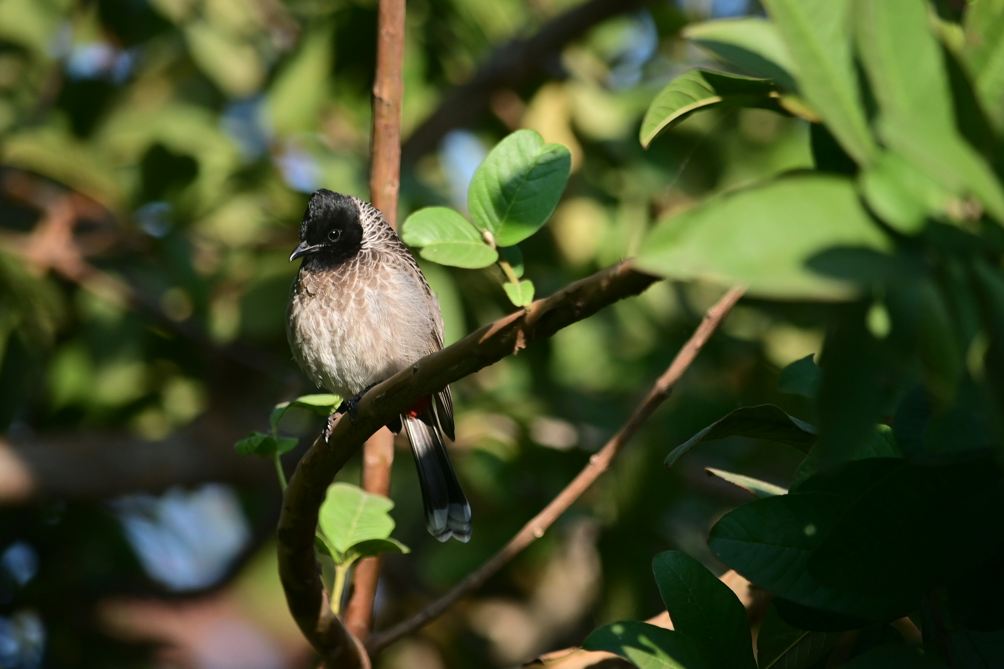 Photo by rrajputphotography