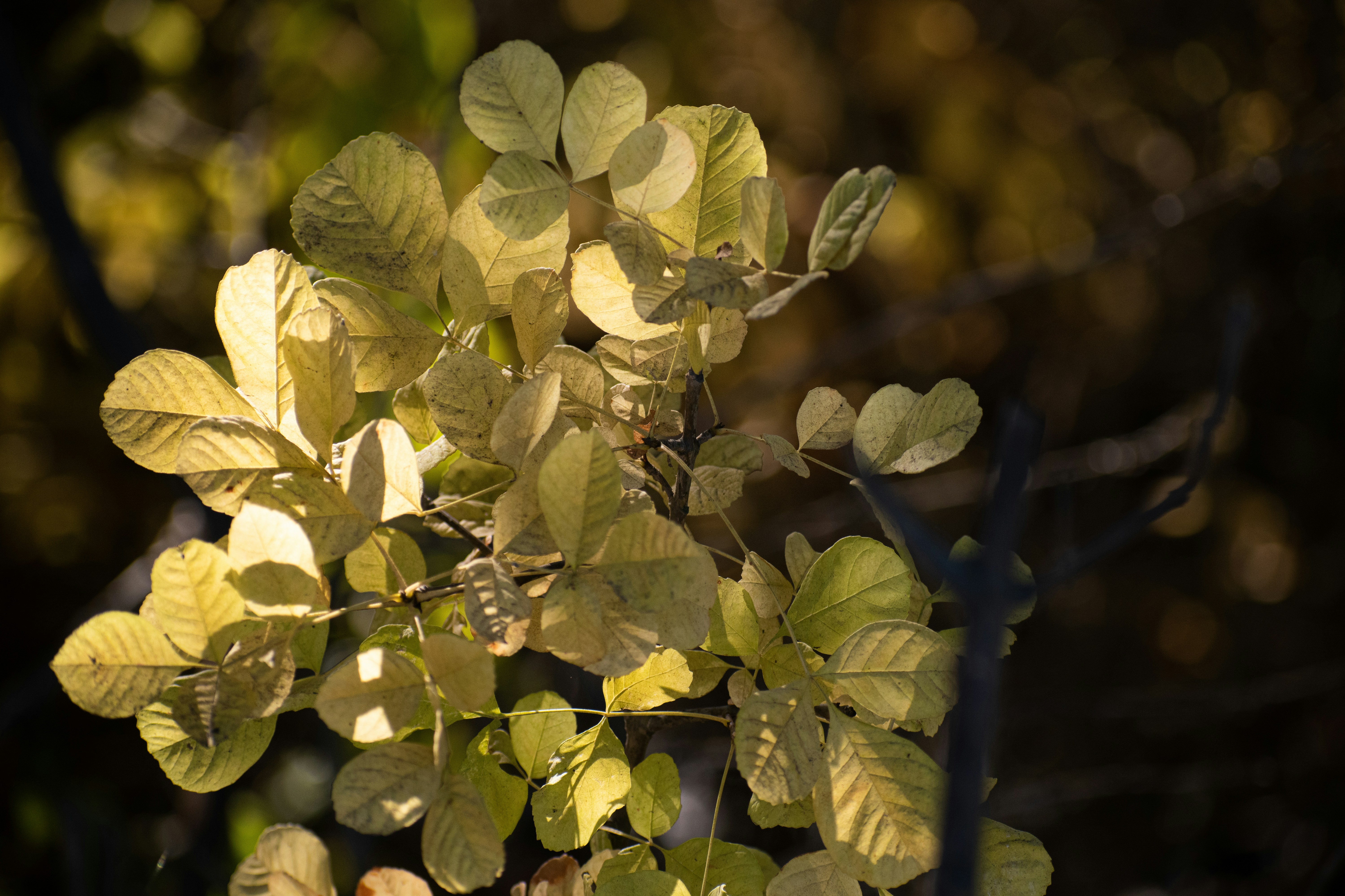 Photo by elisastonephotography