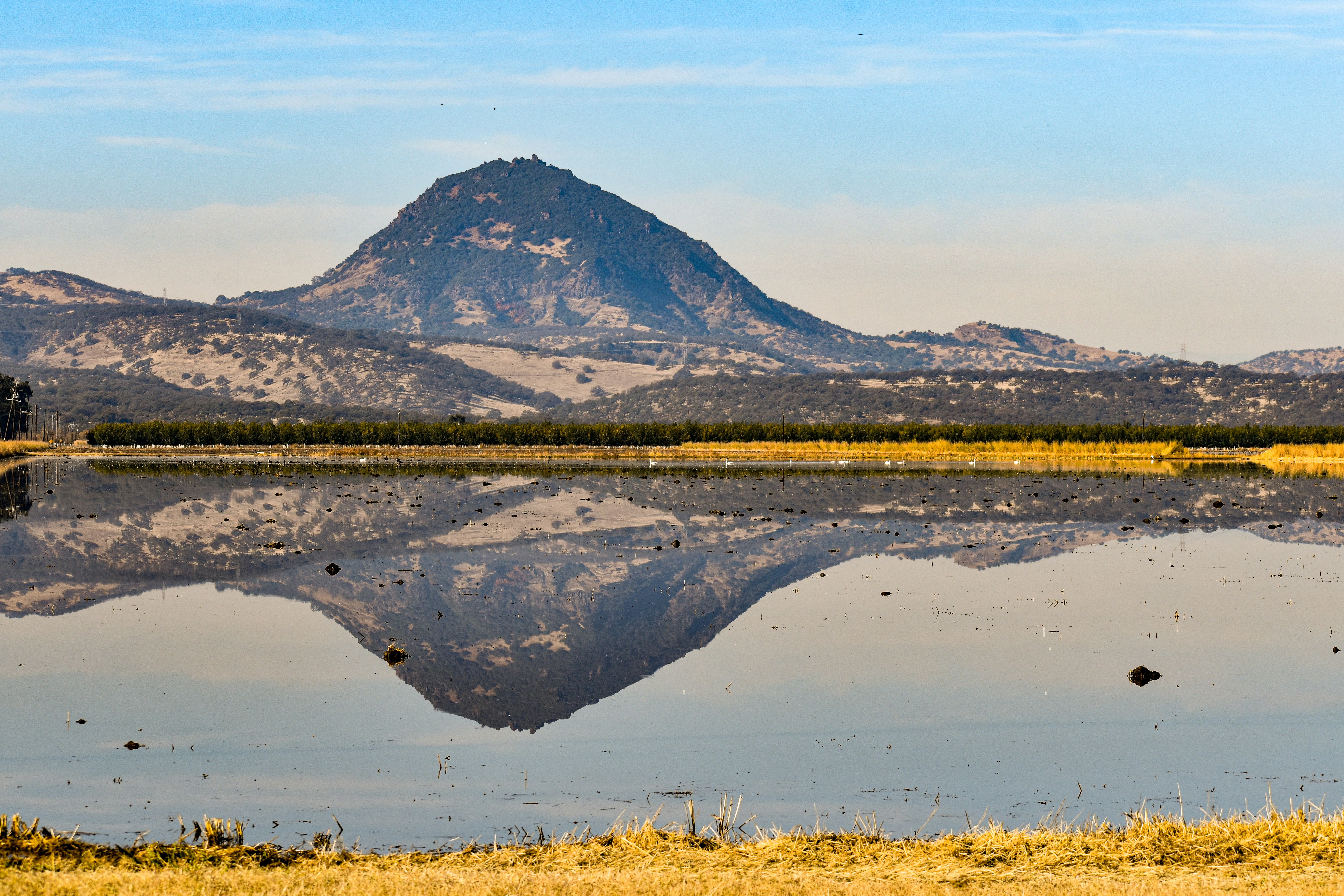 Photo by elisastonephotography