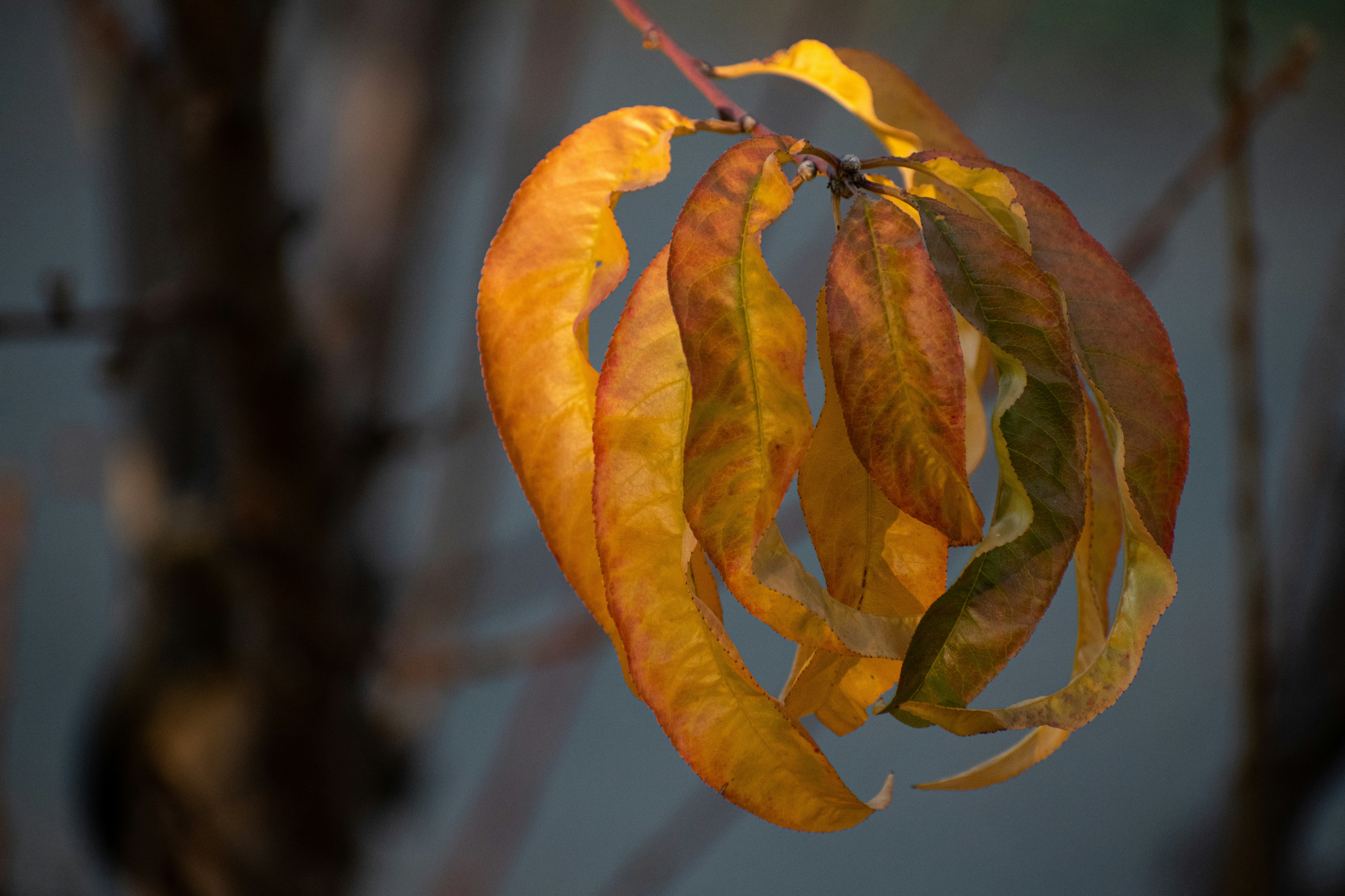 Photo by elisastonephotography