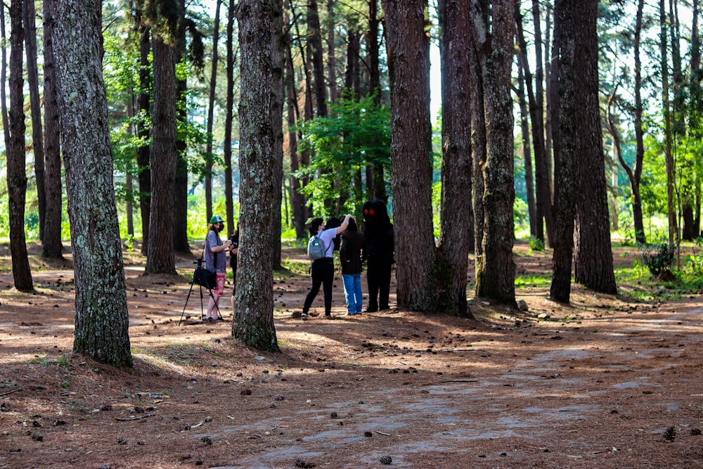 pessoas andando em estrada de terra cercada por árvores durante o dia