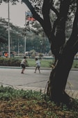 Two children playing in a sunlit park, symbolizing resilience and new beginnings.