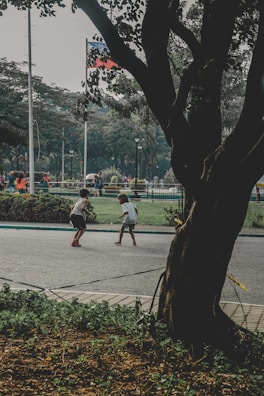 Two children playing in a sunlit park, symbolizing resilience and new beginnings.