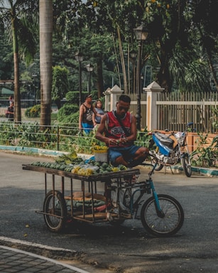 A vendor on a modified bicycle selling fruit on the street, seated on the cart filled with bananas and other tropical fruits. In the background, there are a few pedestrians walking past, alongside lush green trees and a fence. A parked motorbike is also visible.