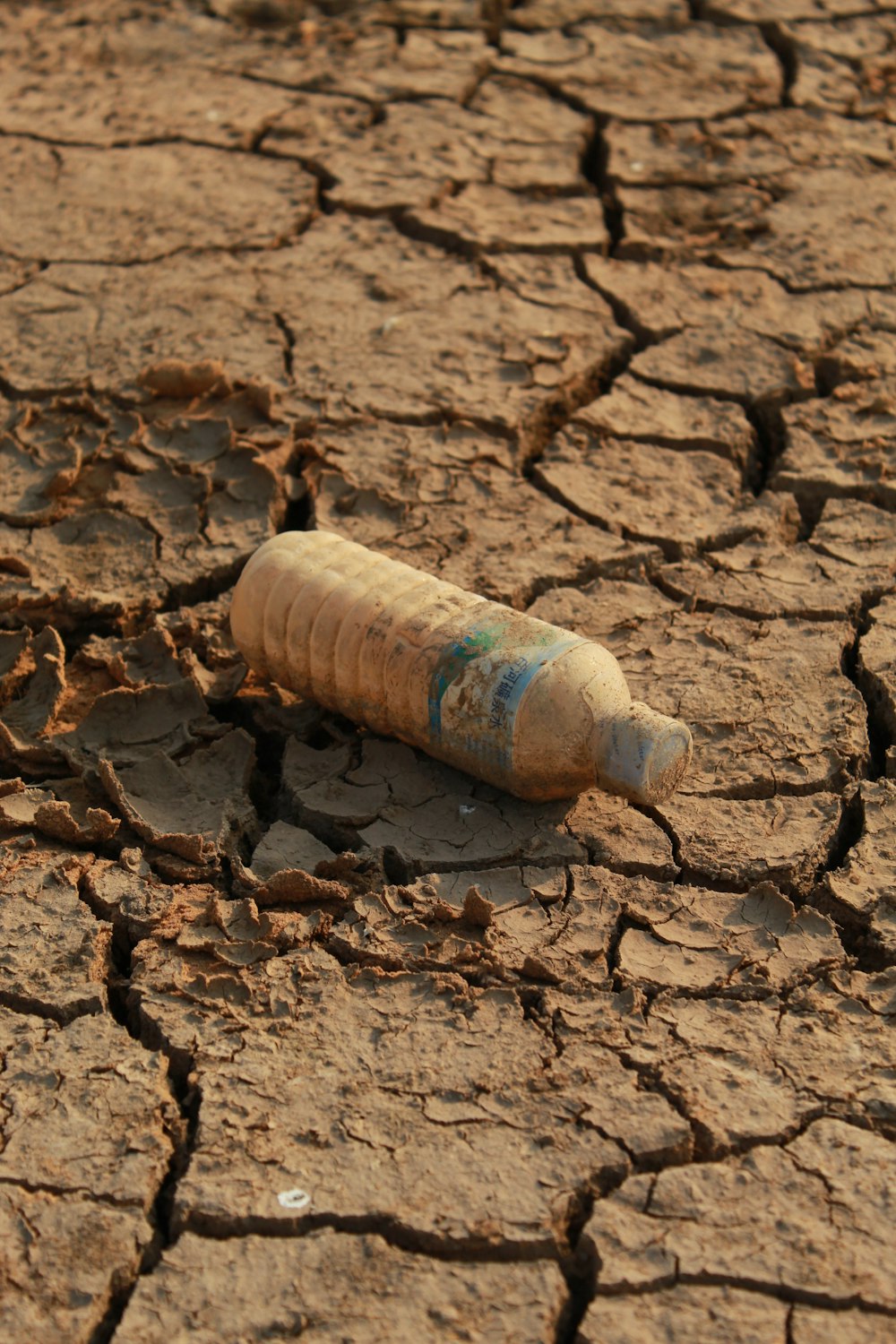 white plastic bottle on brown soil