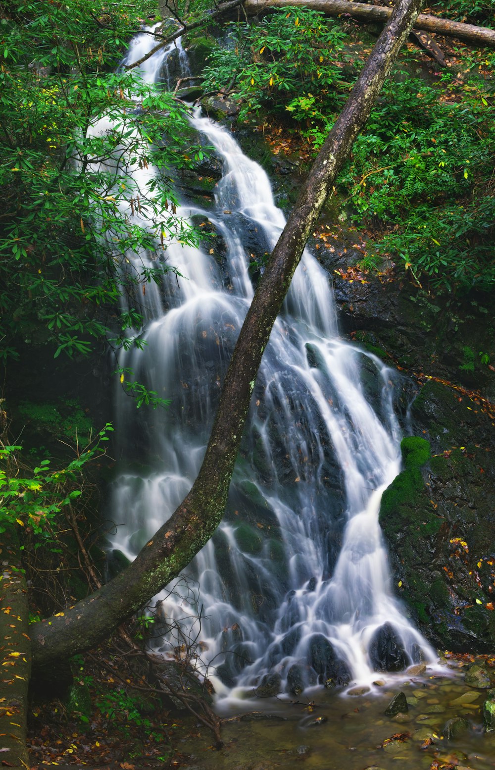 water falls in the forest