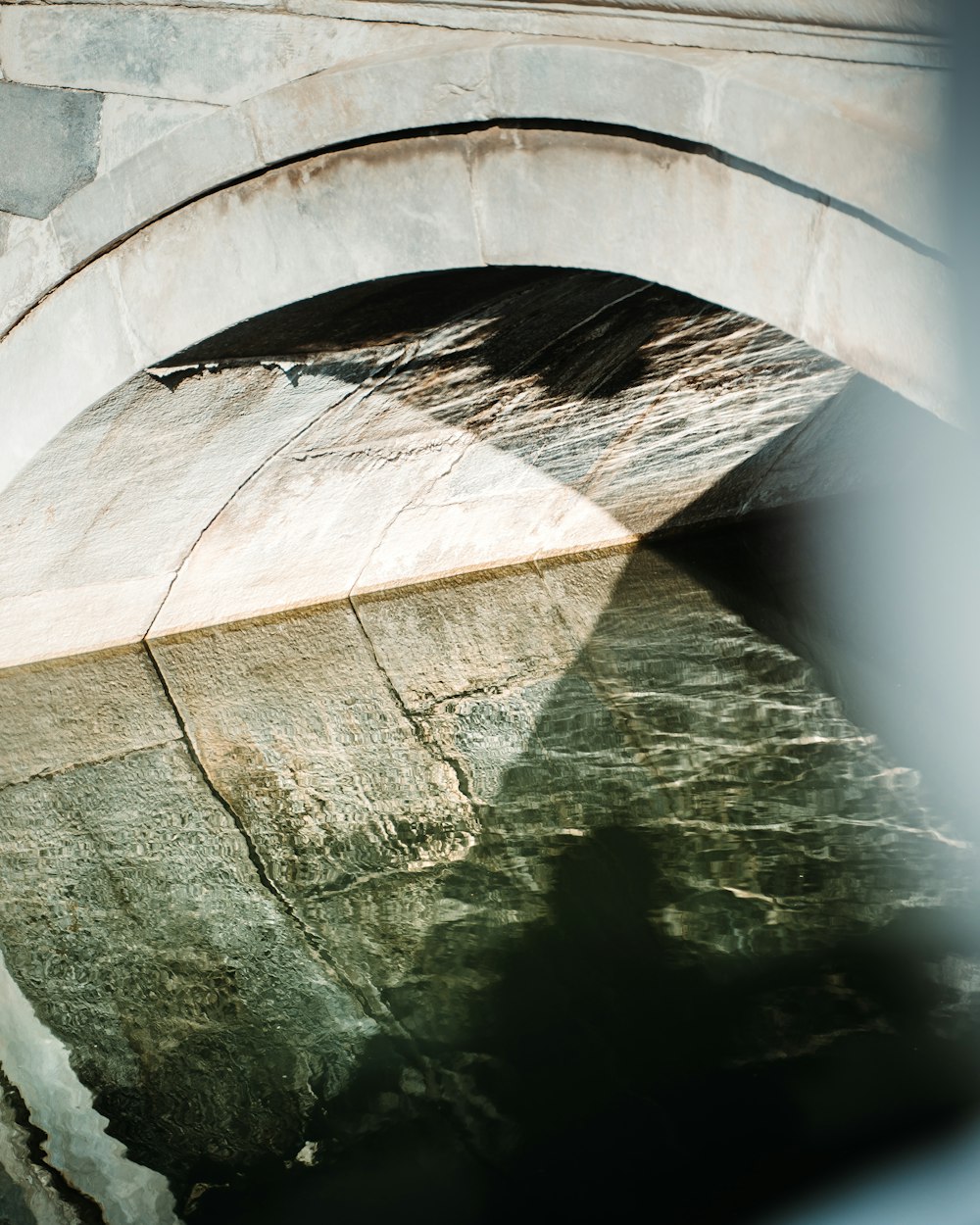 muelle de madera marrón en el agua