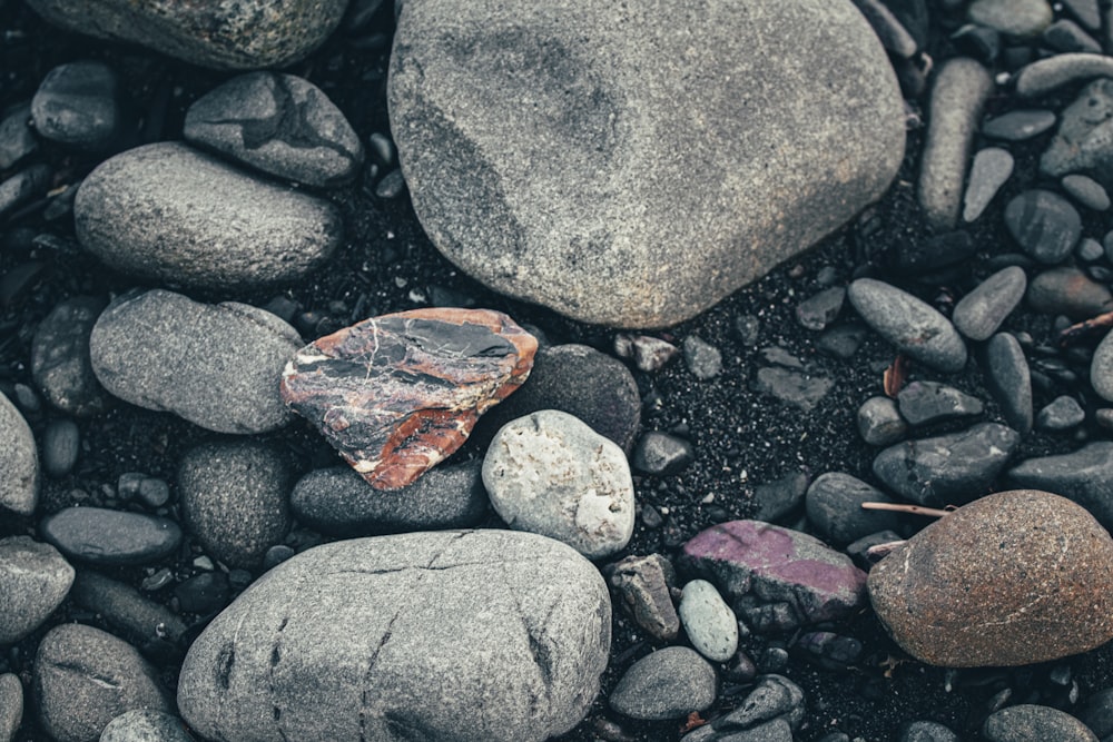 gray and orange leaf on gray and black stones