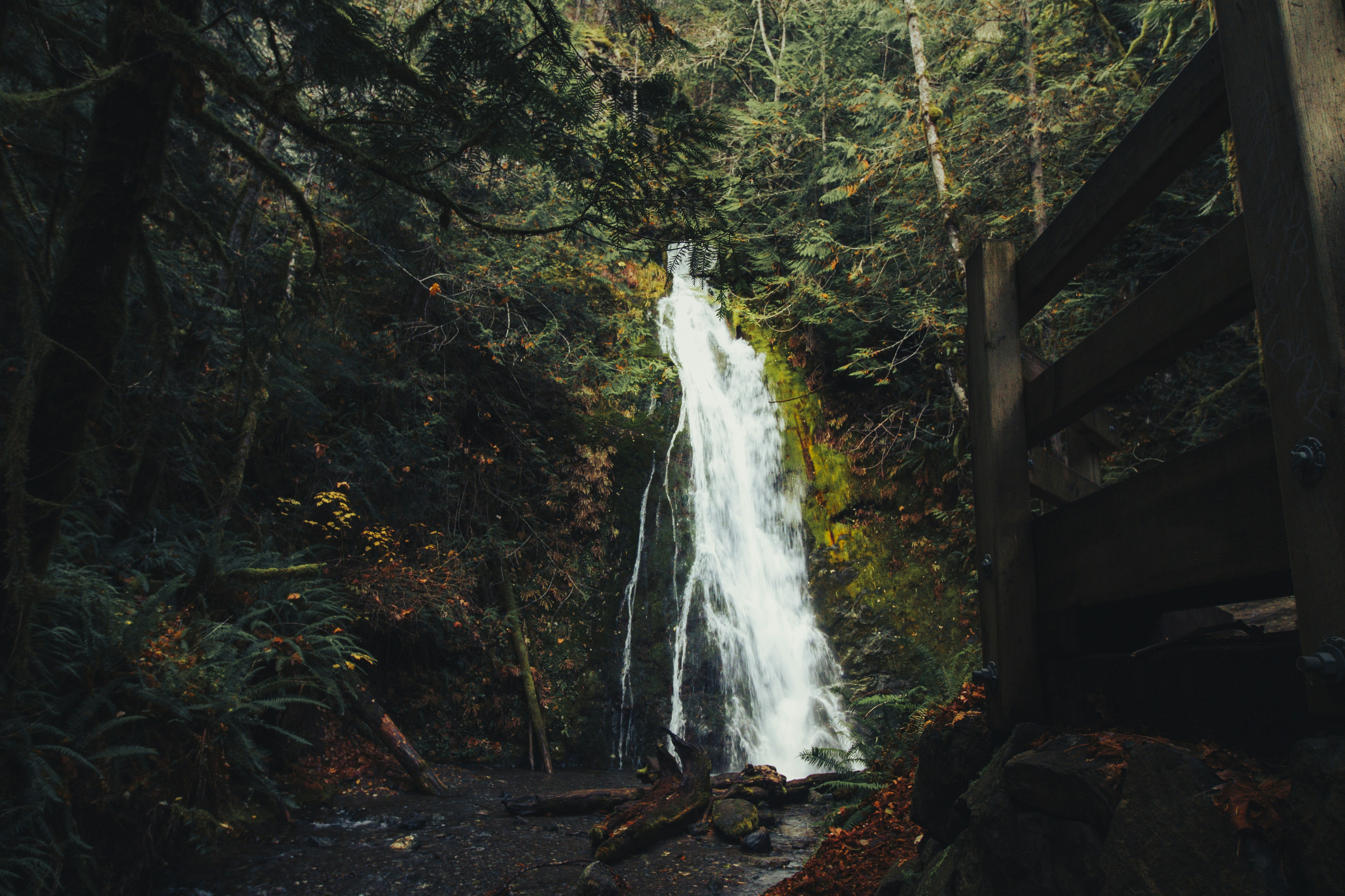 Photo by hiccupfromberk