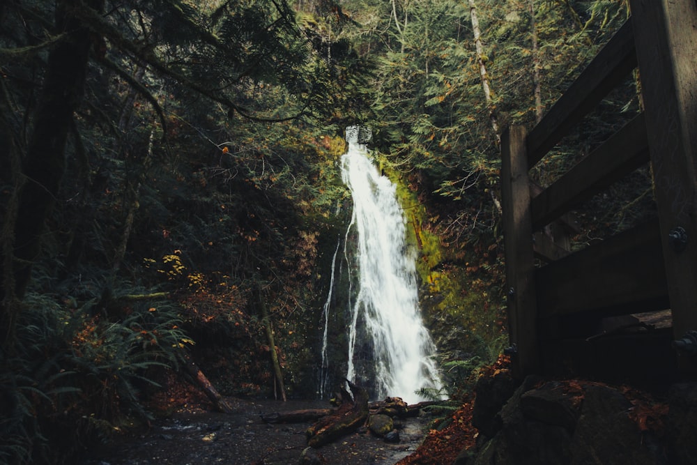 waterfalls in forest during daytime