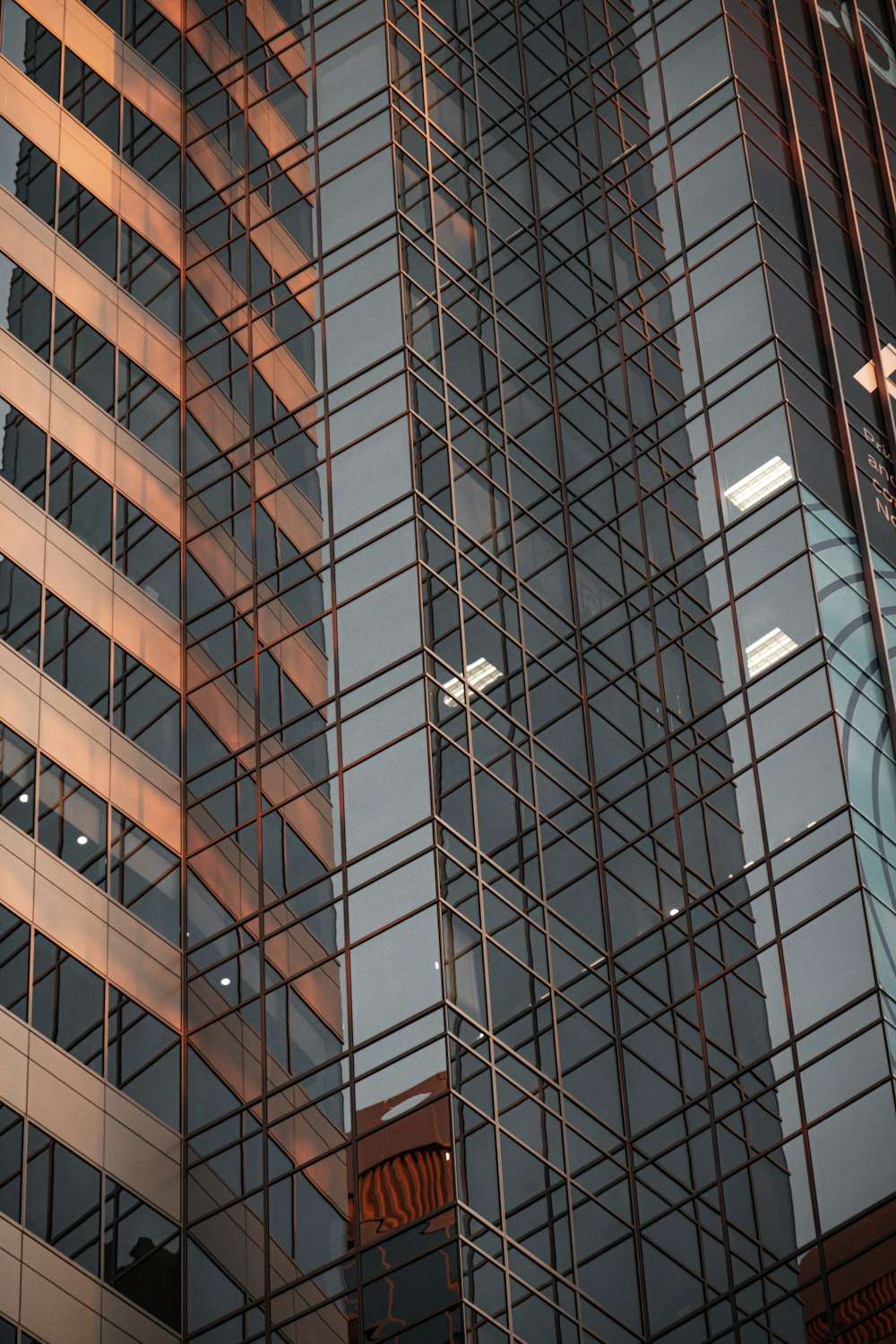 brown and white concrete building