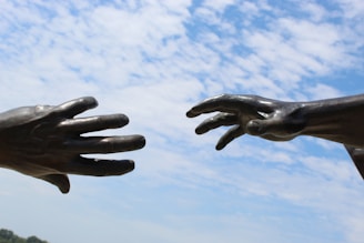 persons hand forming heart