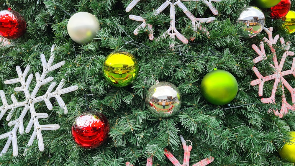 yellow and red round ornament on green grass