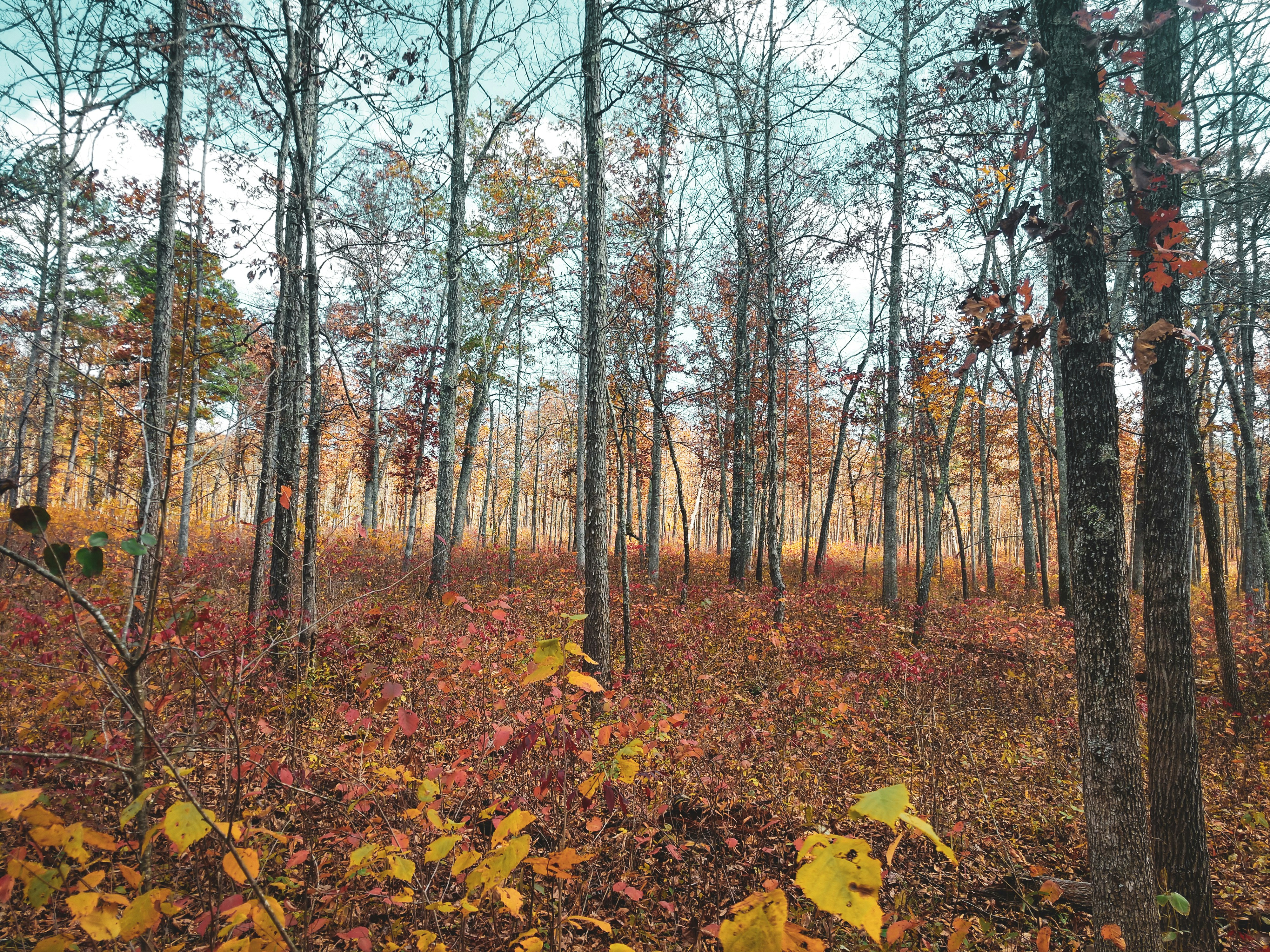 Photo by officialpatriotoutdoors