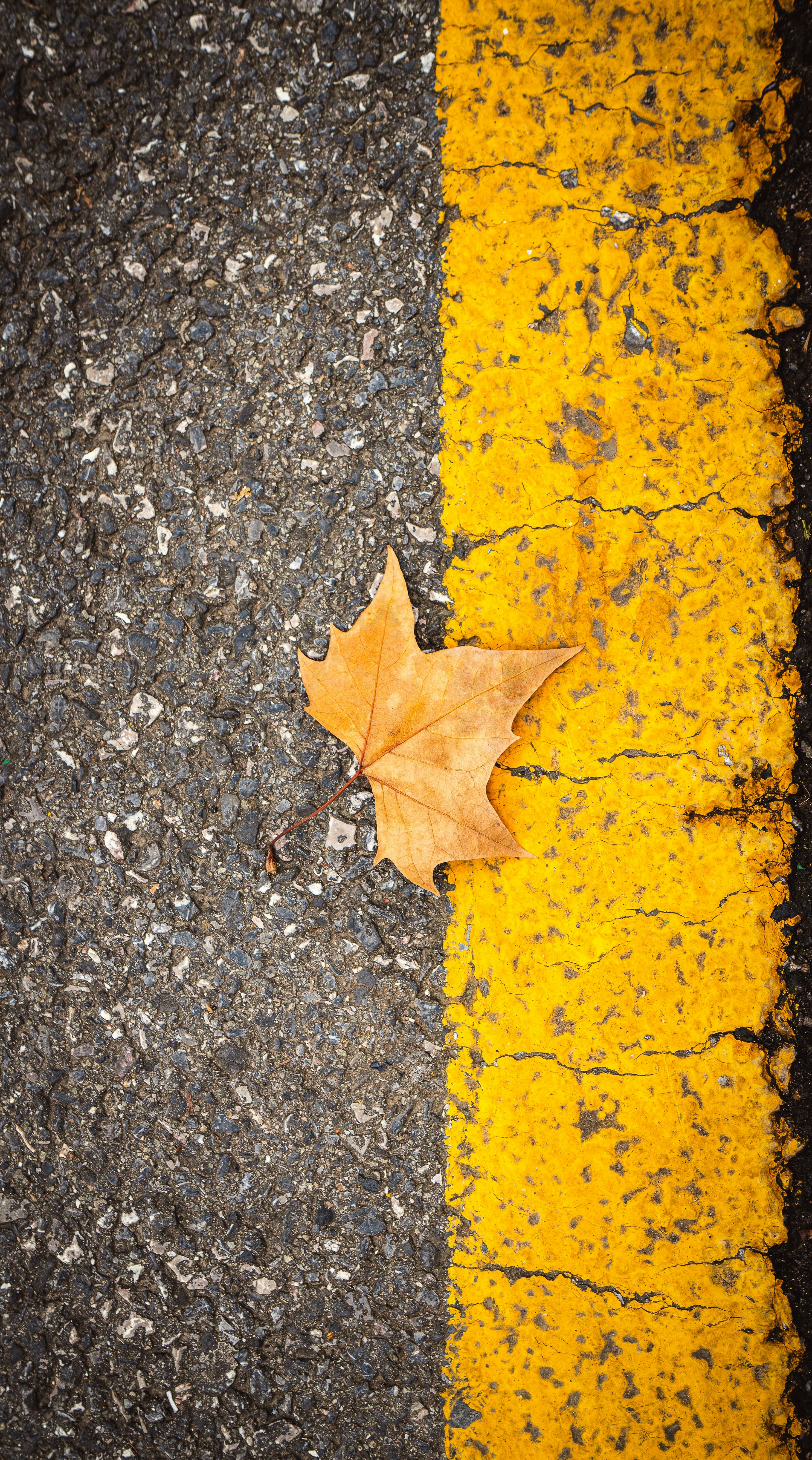 Photo by radsupercell