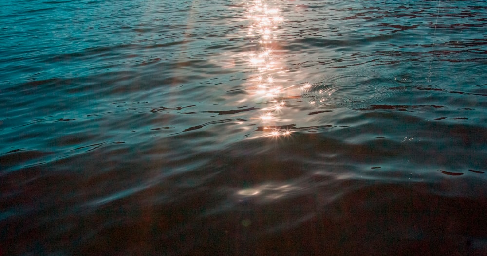 body of water during daytime