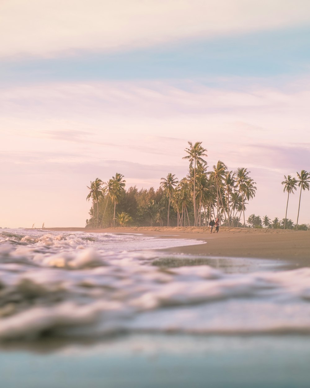 green palm trees on brown sand under white clouds during daytime